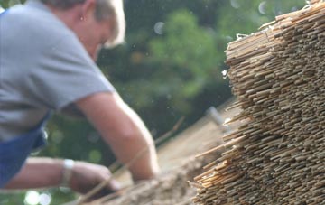 professional West Bay thatchers