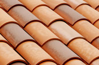 West Bay clay roofing